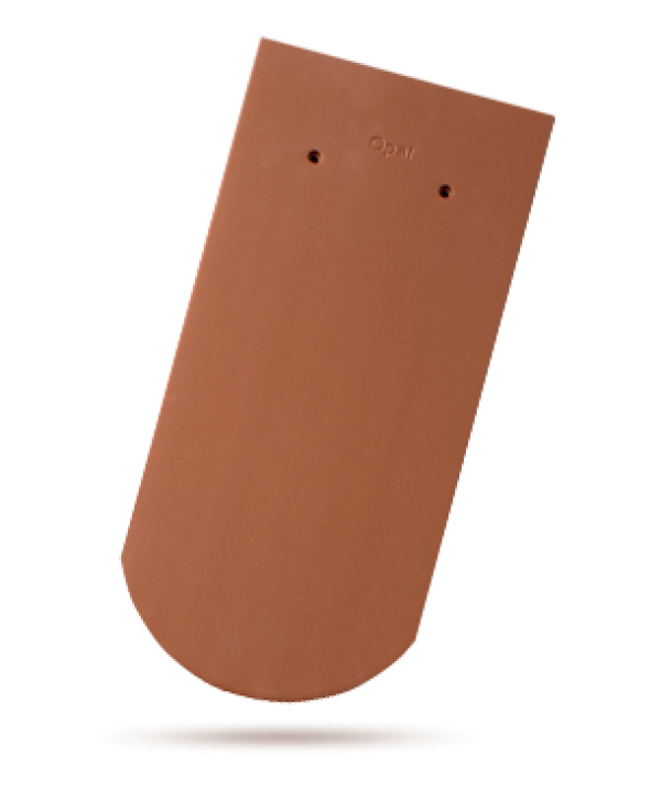 Režná